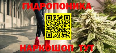 крисы Краснодар