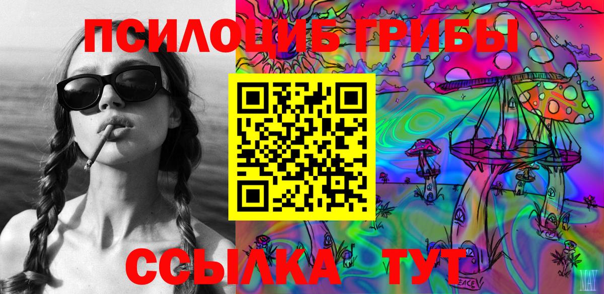 Псилоцибиновые грибы Psilocybine cubensis Каменск-Уральский