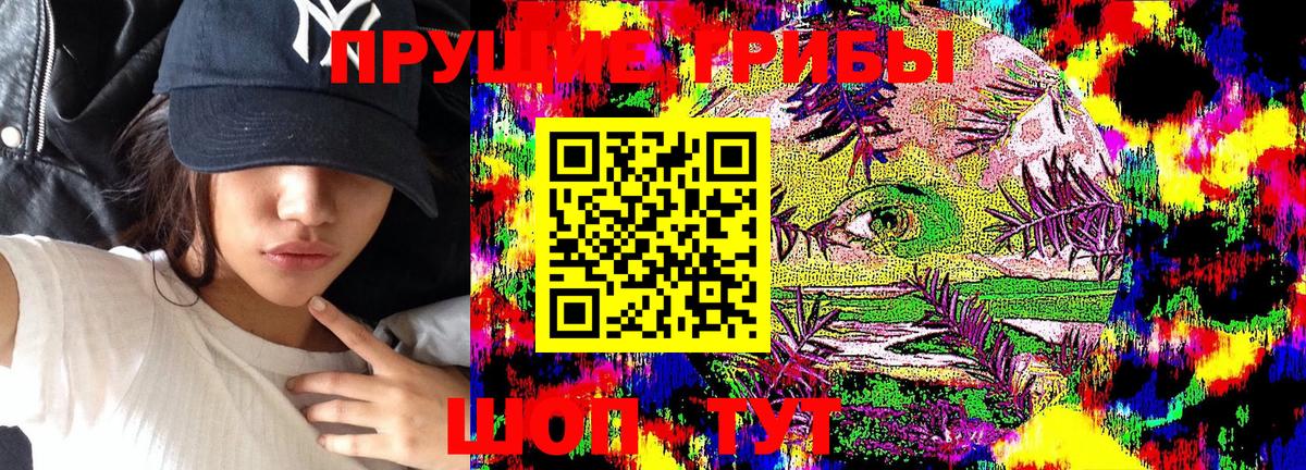 даркнет сайт  Псилоцибиновые грибы MAGIC MUSHROOMS  Вход с VPN  Каменск-Уральский 