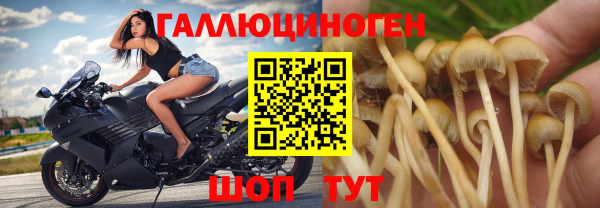Alpha PVP Каменск-Уральский